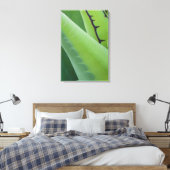 Close-up van agave canvas afdruk (Insitu (Slaapkamer))