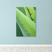 Close-up van agave canvas afdruk (Insitu (Houten vloer))