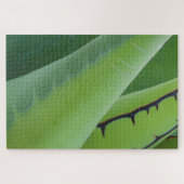 Close-up van Agave Legpuzzel (Horizontaal)