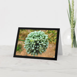 Close-up van Allium, wilde ui bloesem Kaart