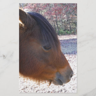 Close-up van bruin paard, Klein bruin pony Briefpapier