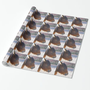 Close-up van bruin paard, Klein bruin pony Cadeaupapier