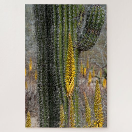 Close-up van cactus en agave legpuzzel (Verticaal)