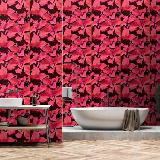 Close-up van coleus behang (Badkamer)