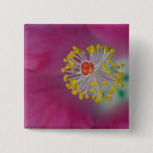 Close-up van de meeldraden van de hibiscusbloem, H Vierkante Button 5,1 Cm