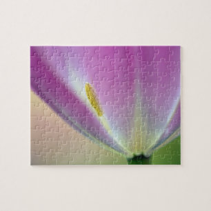 Close-up van de onderkant van tulp bloem, Kuekenho Legpuzzel
