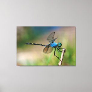 Close-up van een blauwe libel op een tak canvas afdruk