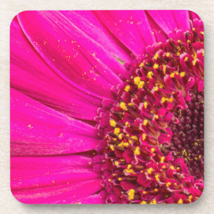 Close-up van een Gerber-margriet Bier Onderzetter