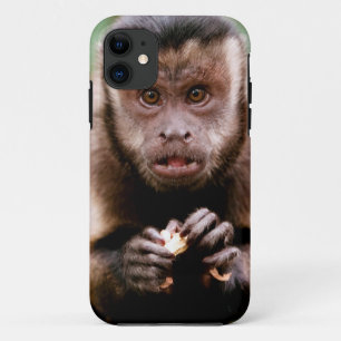 Close-up van een zwartkapkapucijnaap iPhone 11 hoesje