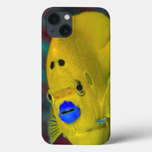 Close-up van engelvis Case-Mate iPhone case (Achterkant)