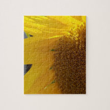 Close-up van gele zonnebloem