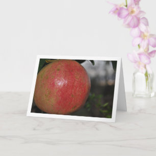 Close-up van granaatappel op boom kaart