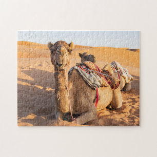 Close-up van grappige kameel in Oman Wahiba woesti Legpuzzel