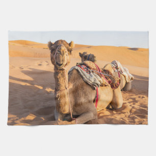 Close-up van grappige kameel in Oman Wahiba woesti Theedoek