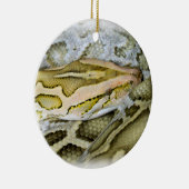 Close-up van Indiase python Keramisch Ornament (Rechts)