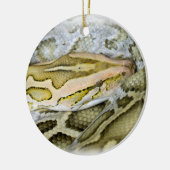 Close-up van Indiase python Keramisch Ornament (Links)