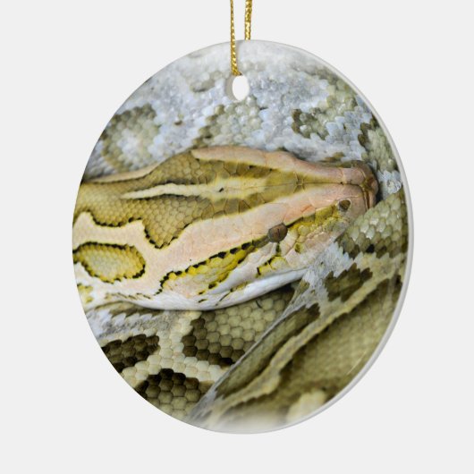 Close-up van Indiase python Keramisch Ornament (Links)