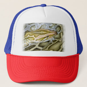 Close-up van Indiase python Trucker Pet