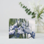Close-up van Iris Briefkaart (Staand voorkant)