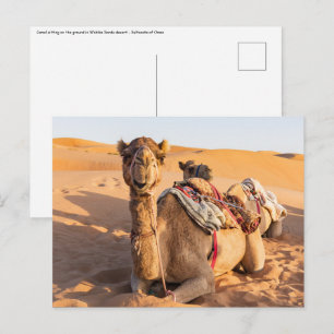 Close-up van kameel in Omaanse woestijn Briefkaart