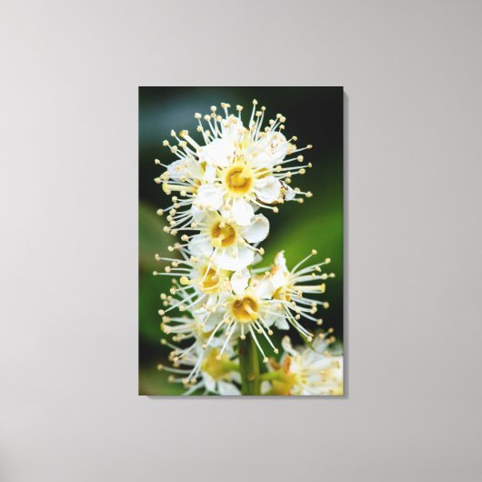 Close-up van kleine bloemen canvas afdruk (Voorkant)