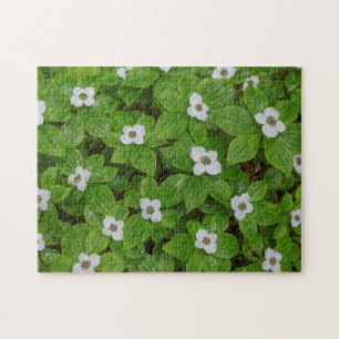 Close-up van kornoelje met witte bloemen legpuzzel