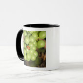 Close-up van lieveheersbeestje op groene Pinot Noi Mok (Voorkant links)