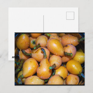 Close-up van Loquat-fruit Briefkaart