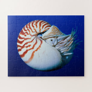 Close-up van Nautilus Legpuzzel