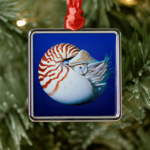 Close-up van Nautilus Metalen Ornament