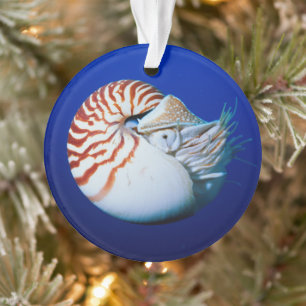 Close-up van Nautilus Ornament