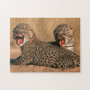 Close-up van pasgeboren luipaard (Panthera Pardus) Legpuzzel