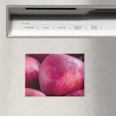 Close-up van rode appels magneet (Insitu (Vaatwasser))