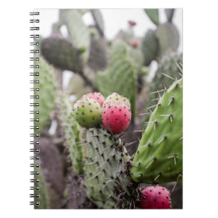 Close-up van stekelige perencactus notitieboek