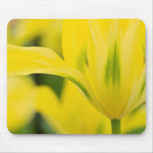 Close-up van tulp 2 muismat