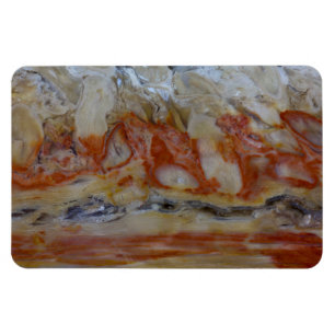 Close-up van versteend hout magneet