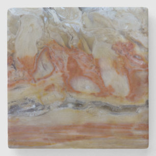 Close-up van versteend hout stenen onderzetter