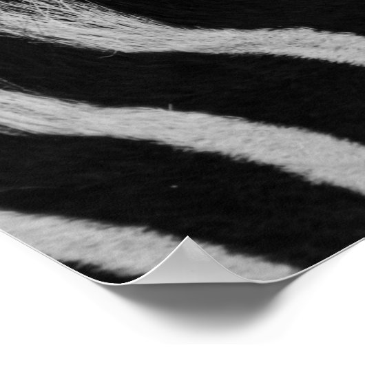 Close-up van Zebra Mane zwart en wit Poster (Hoek)