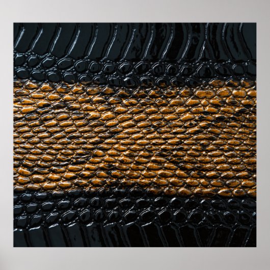 Close-up zwarte slang huidtextuur poster (Voorkant)