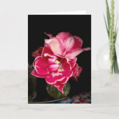 Closeudo de tulipes, rose et blanc, Cartes de note (Devant)