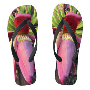 Closeup Banana Flower Teenslippers