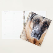 Closeup Berger Allemand Couvert De Neige (Devant avec enveloppe)