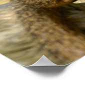 Closeup dwarf mongans briefkaart vierkant me poster (Hoek)