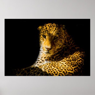CLOSEUP FOTO VAN LEOPARD POSTER