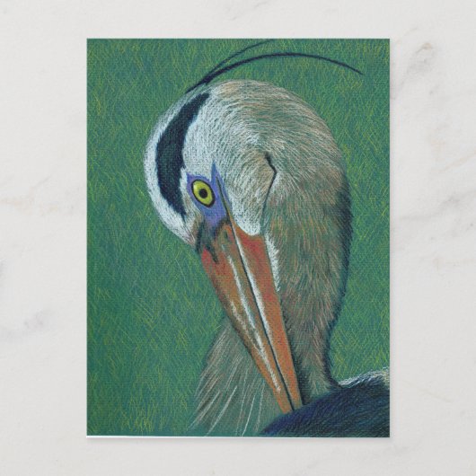 Closeup Heron Briefkaart (Voorkant)