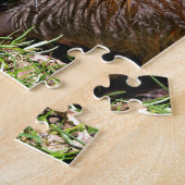 Closeup North American Beaver Legpuzzel (Zijkant)