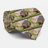 Closeup North American Beaver Stropdas (Opgerold)