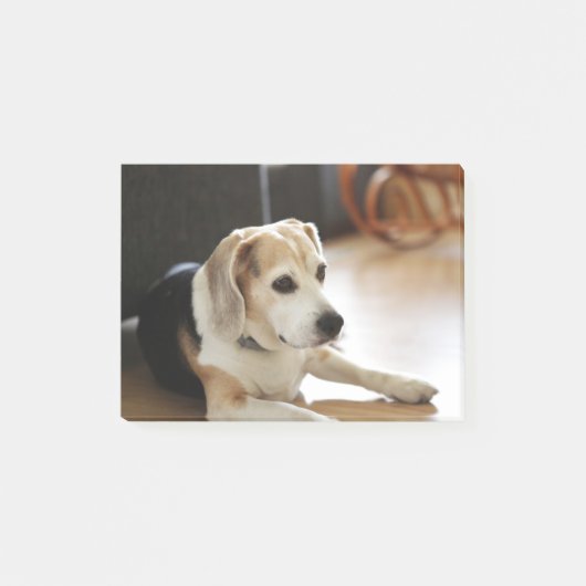 Closeup of Healthy Beagle Puppy Post-it® Notes (Voorkant)