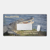 Closeup photographique américain Alligator Wildlif (Clavier et souris)