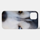 Closeup Stoic Gaze of an Alaskan Malamute Case-Mate iPhone Case (Achterkant (horizontaal))
